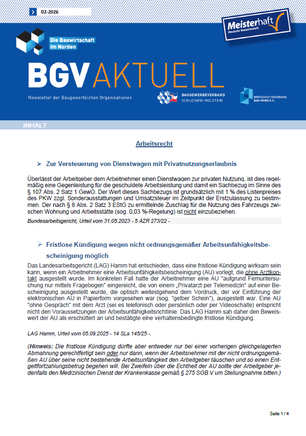 Auszug Newsletter November 2025