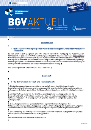 Auszug Newsletter November 2025