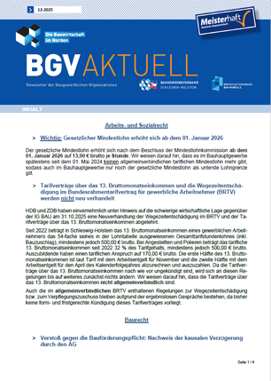 Auszug Newsletter November 2025