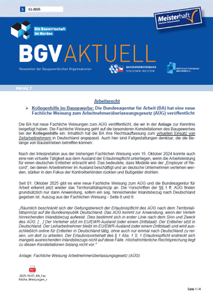 Auszug Newsletter November 2025